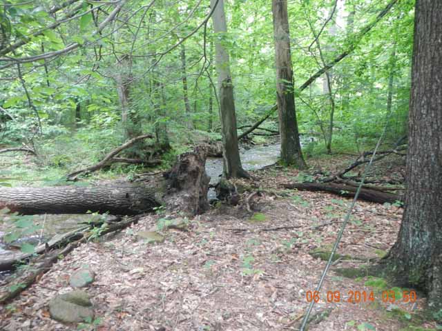 fowlers hollow.Laural run 06-09-14 071.jpg -                                